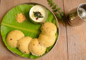 Healthy Oats Idli